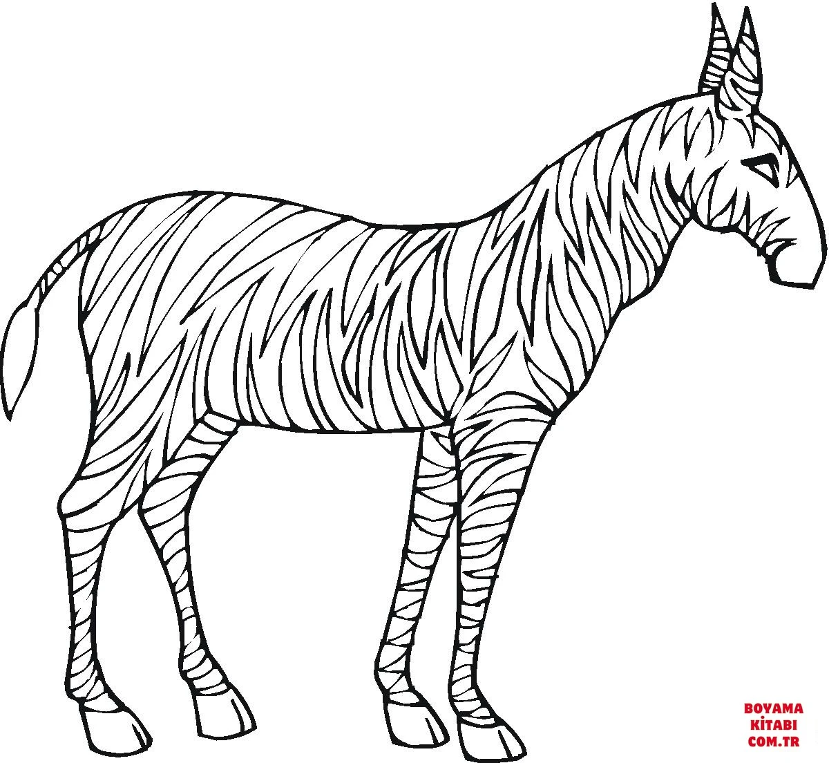 Zebra boyama sayfası – eğlenceli etkinlik, el becerilerini geliştirir