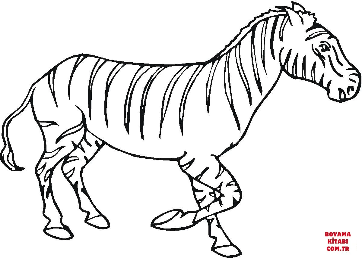 Zebra boyama sayfası – çizgi film temalı, basit çizim