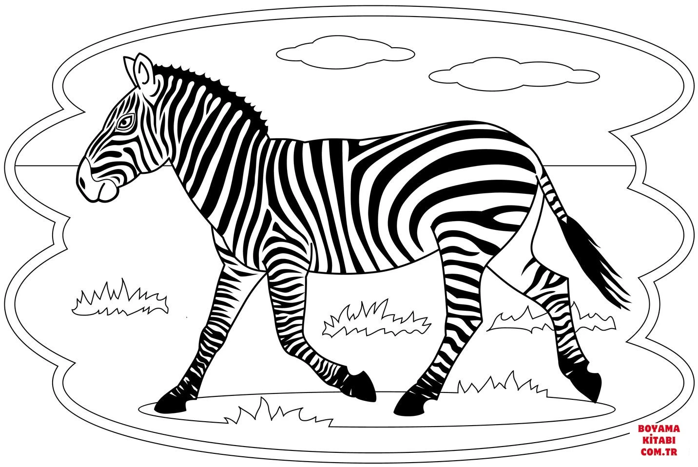 Zebra boyama sayfası – sanatsal çalışma, çocuklar için