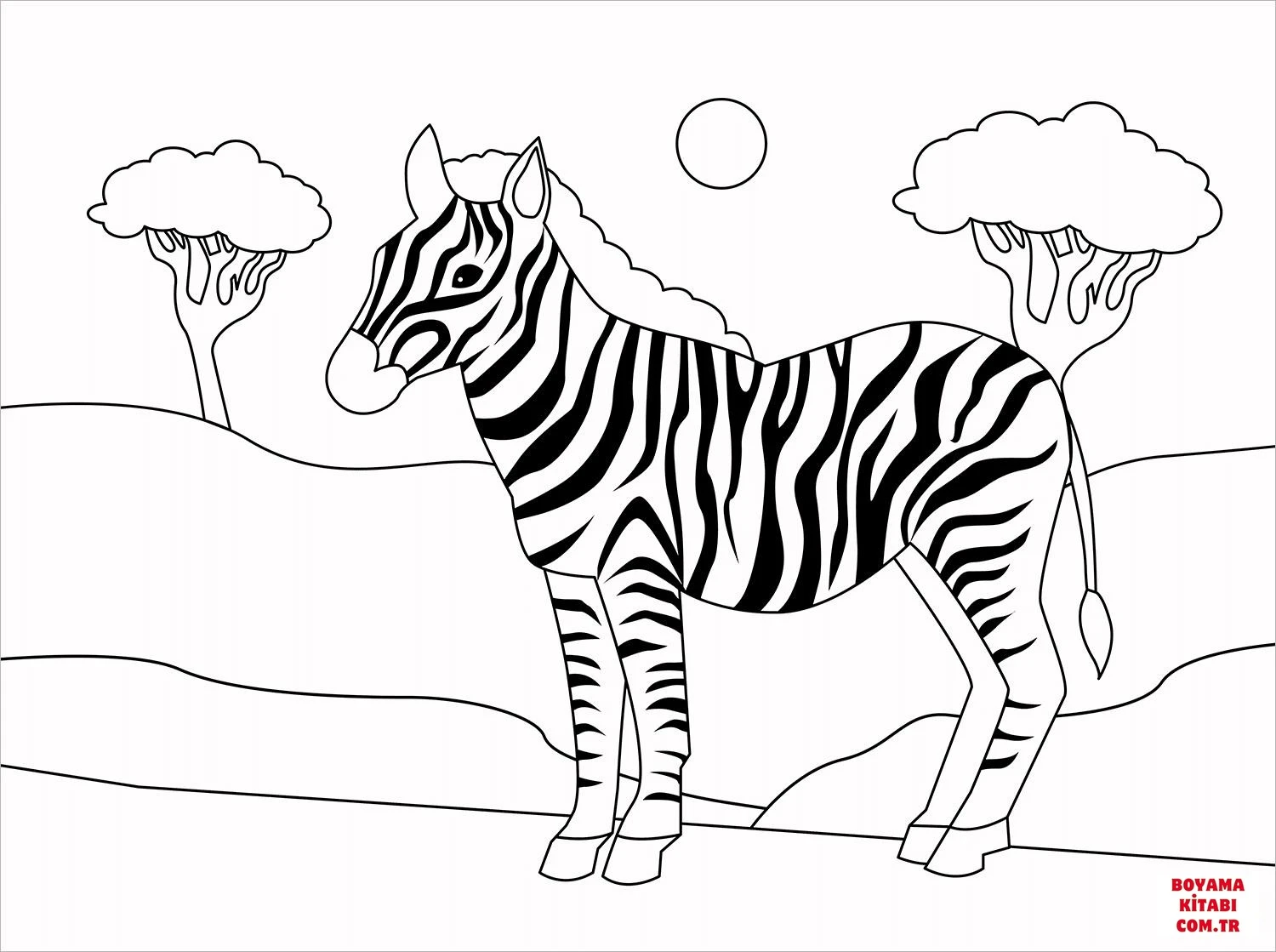 Zebra boyama sayfası – basit çizim, kolay boyama
