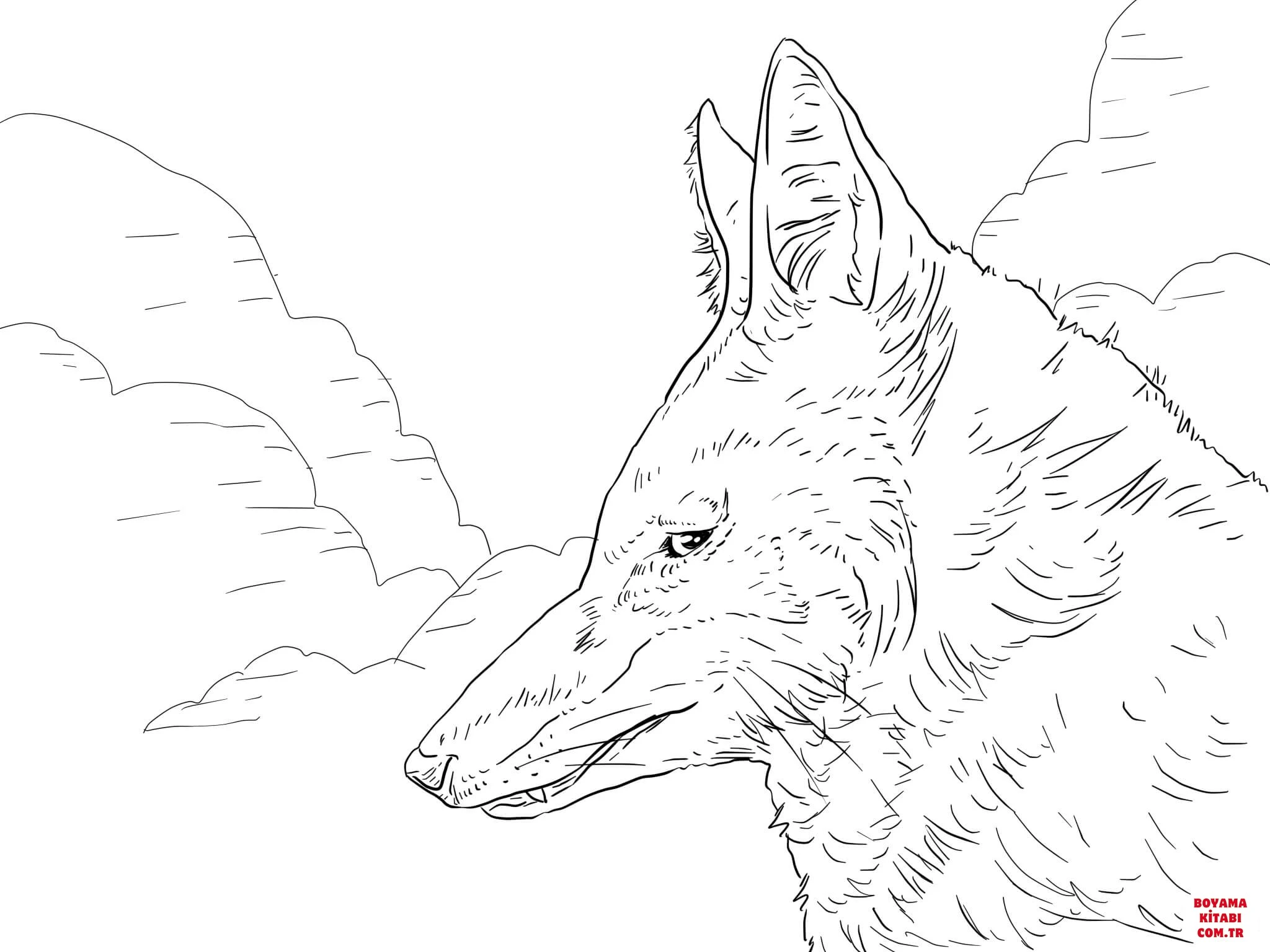 Kurt boyama sayfası – çocuklar için, çizgi film temalı