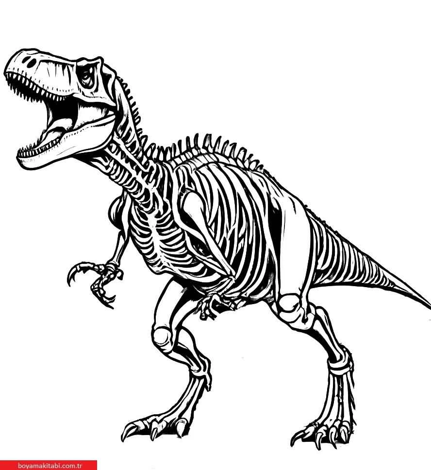 T-rex boyama sayfası – eğitici aktivite, yaratıcılık
