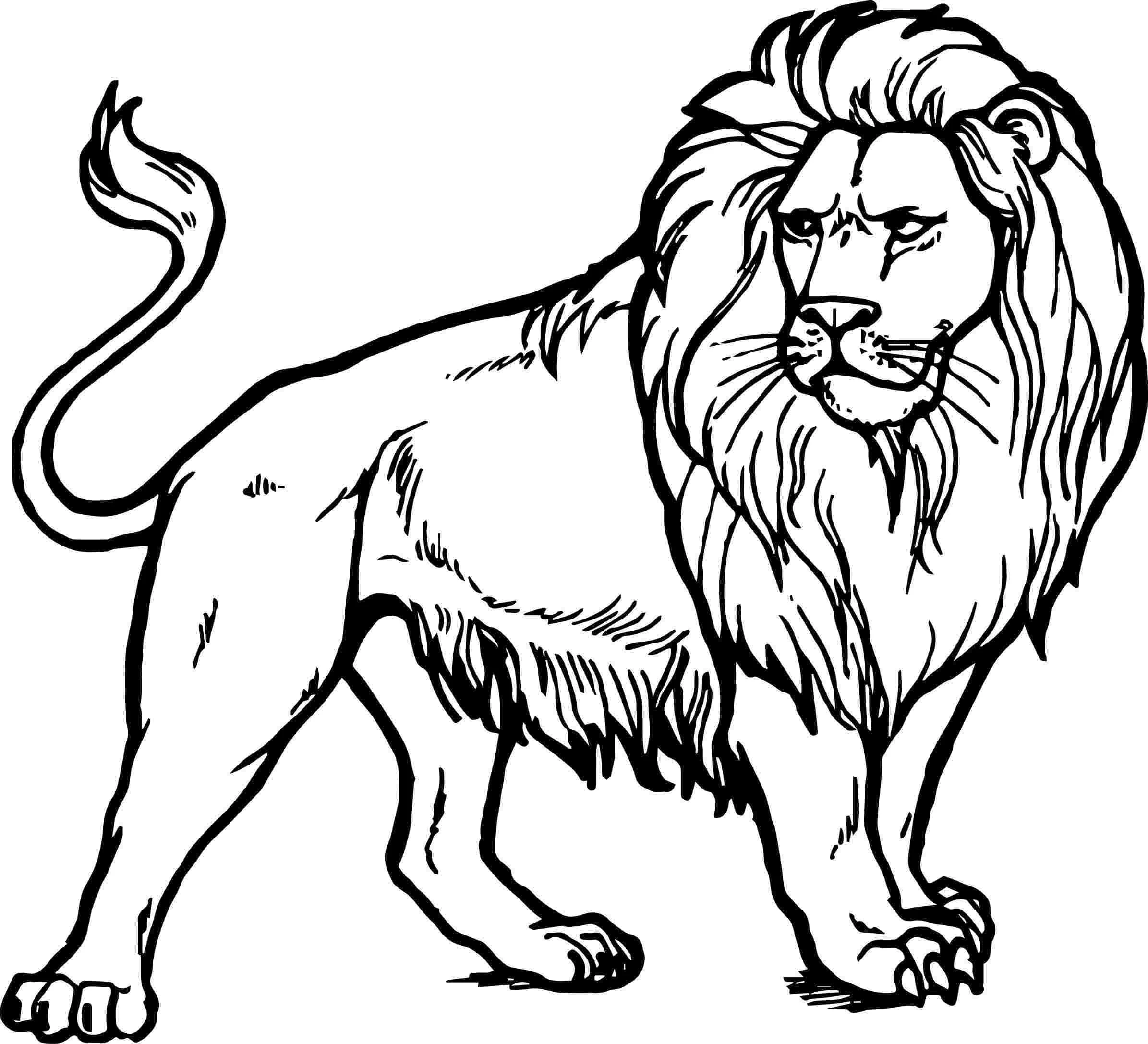 Aslan boyama sayfası – boyama etkinliği, çocuk aktivitesi