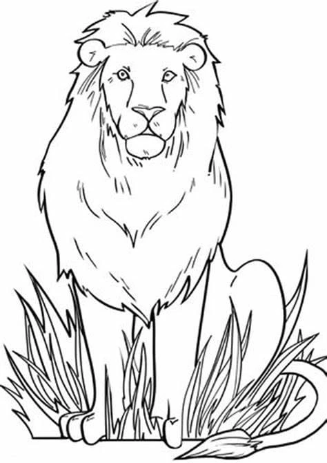 Aslan boyama sayfası – boyama çalışması, yaratıcılığı geliştirir