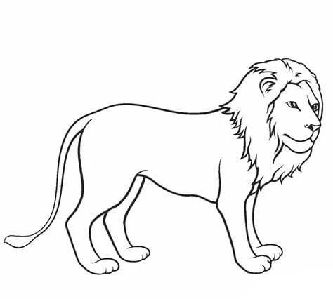 Aslan boyama sayfası – renkli çizimler, okul öncesi