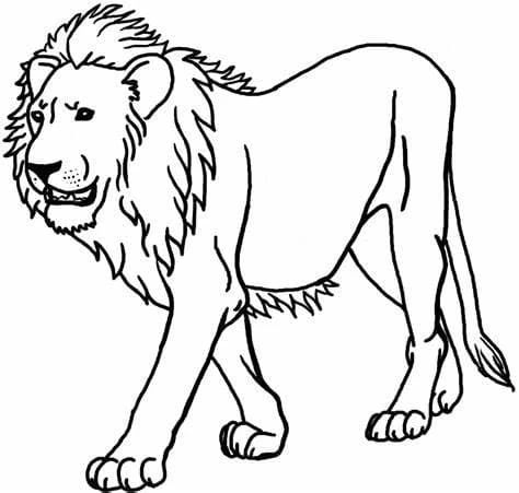 Aslan boyama sayfası – ücretsiz yazdır, boyama etkinliği