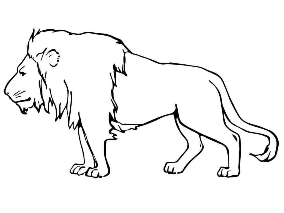 Aslan boyama sayfası – PDF indir, sevimli karakter