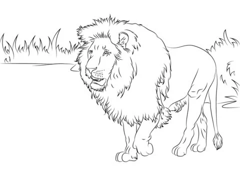 Aslan boyama sayfası – çocuk aktivitesi, PDF indir