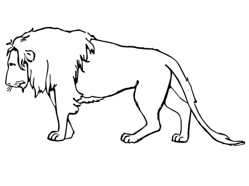 Aslan boyama sayfası – sanatsal çalışma, çocuklar için