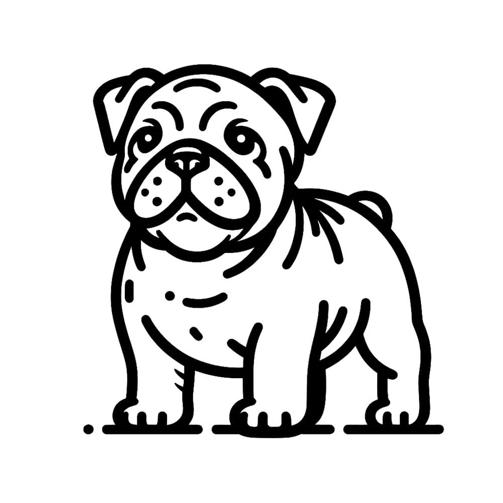 Buldog boyama sayfası – renkli çizimler, okul öncesi