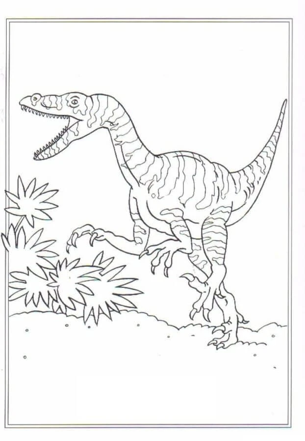 Dinozor boyama sayfası – keyifli zaman, renkli çizimler