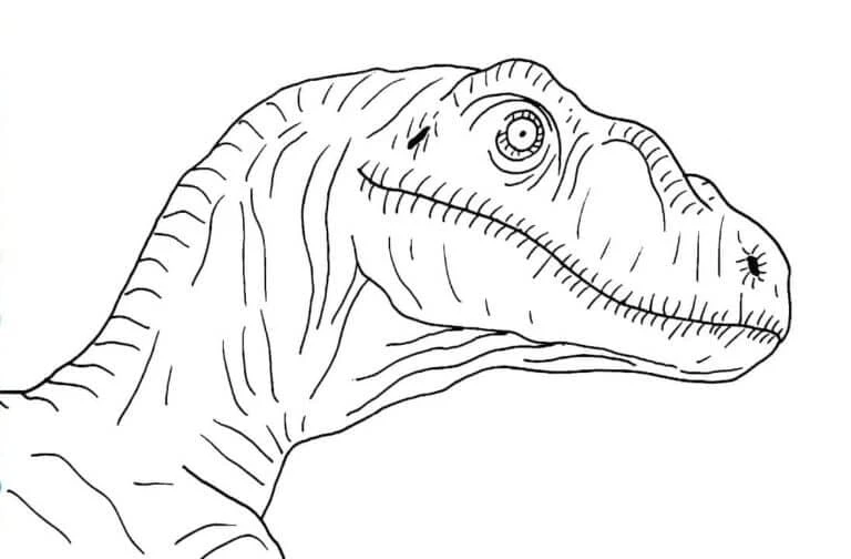 Dinozor boyama sayfası – çocuk aktivitesi, PDF indir