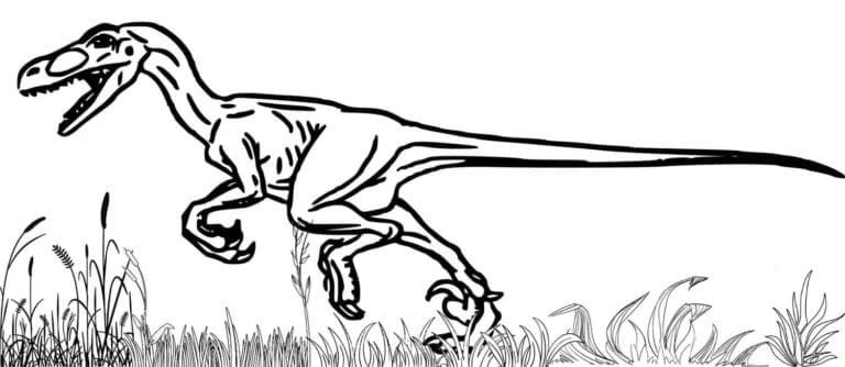 Dinozor boyama sayfası – renkli çizimler, okul öncesi
