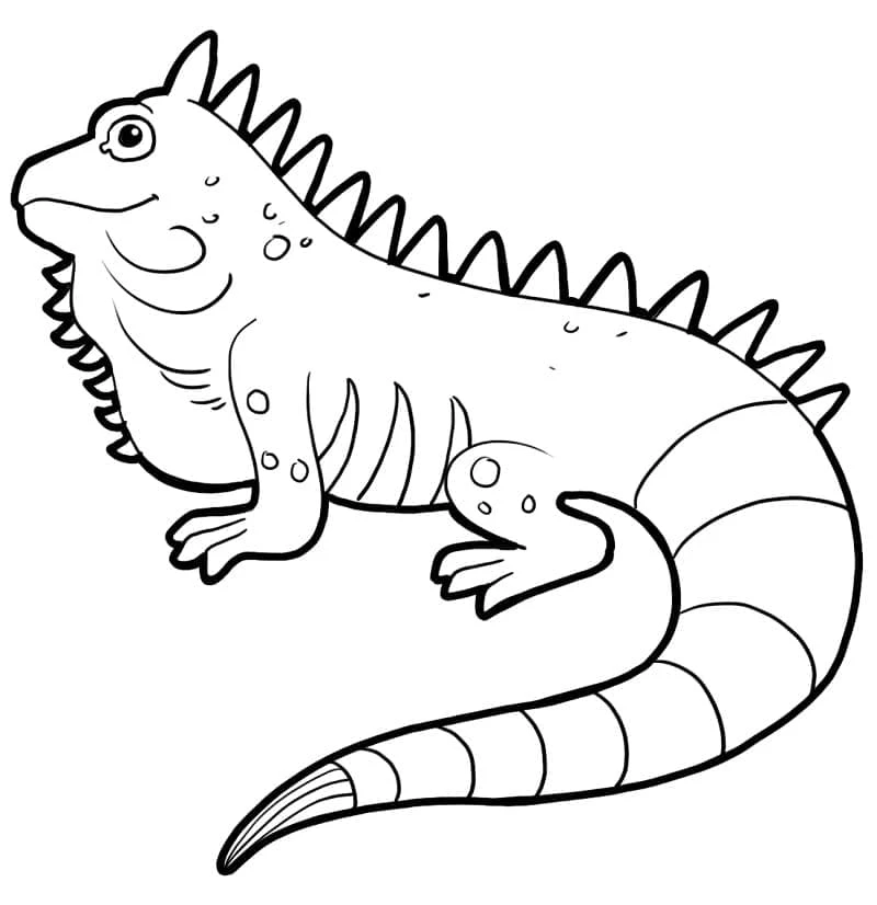 Iguana boyama sayfası – ücretsiz yazdır, boyama etkinliği