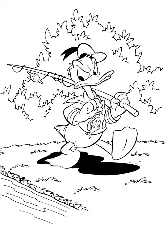 Donald Duck boyama sayfası – renkli çizimler, okul öncesi
