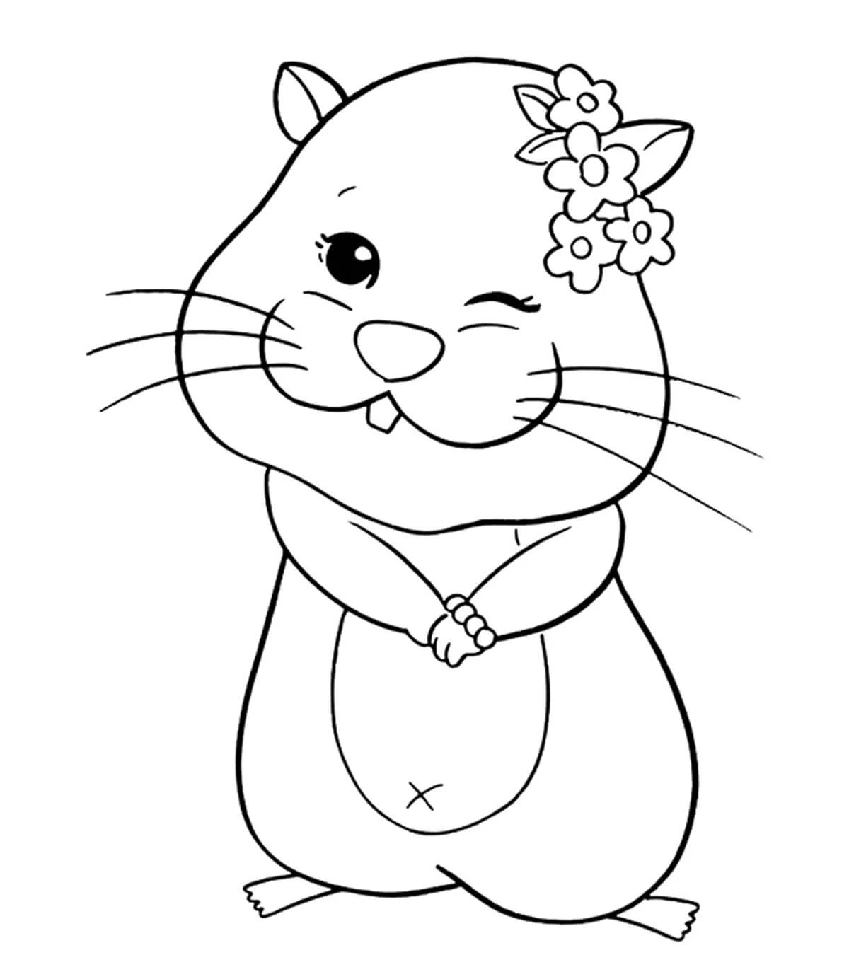 Hamster boyama sayfası – ücretsiz yazdır, boyama etkinliği