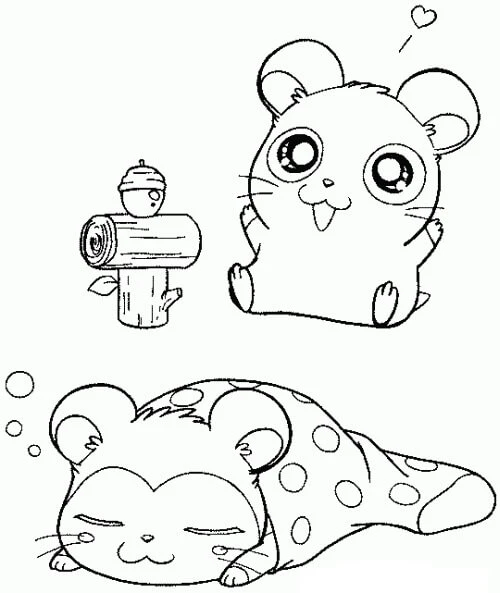 Hamster boyama sayfası – PDF indir, sevimli karakter