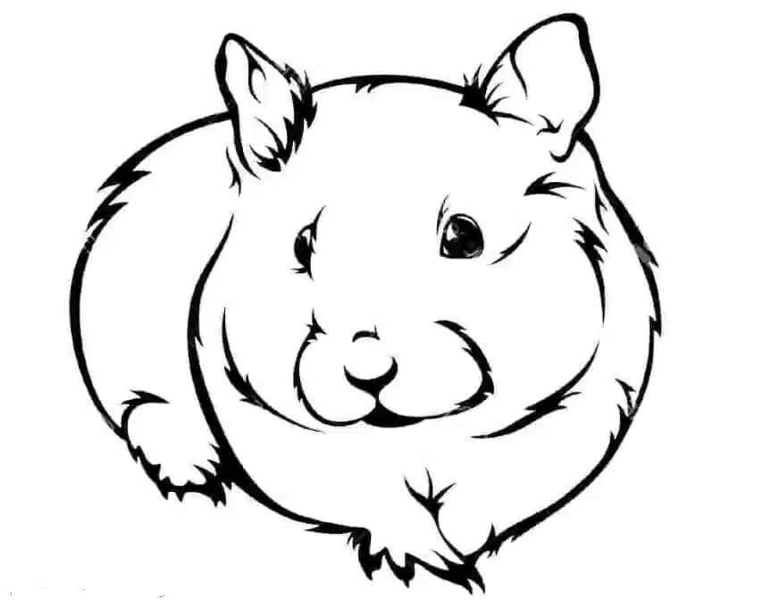 Hamster boyama sayfası – yaratıcılığı geliştirir, keyifli zaman