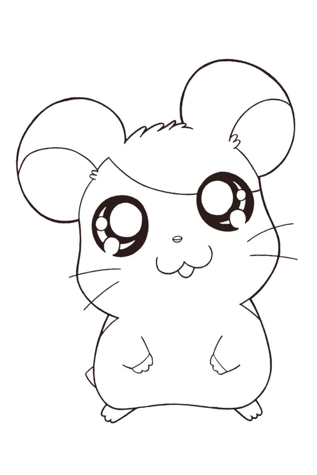 Hamster boyama sayfası – okul öncesi, evde etkinlik