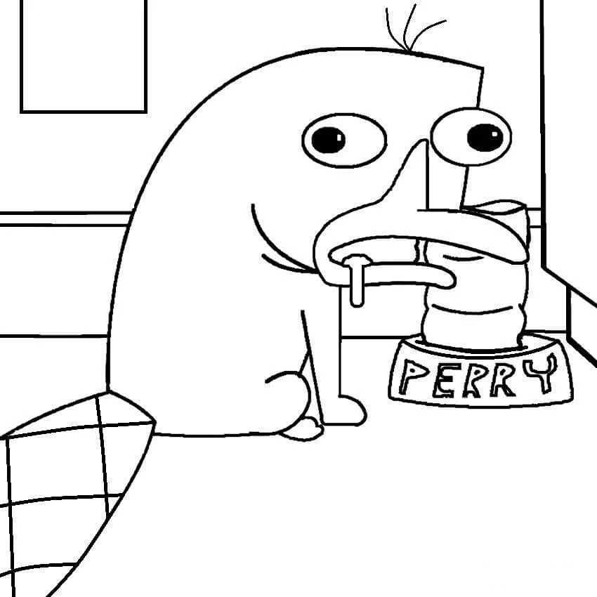 Perry boyama sayfası #5 – keyifli zaman, renkli çizimler