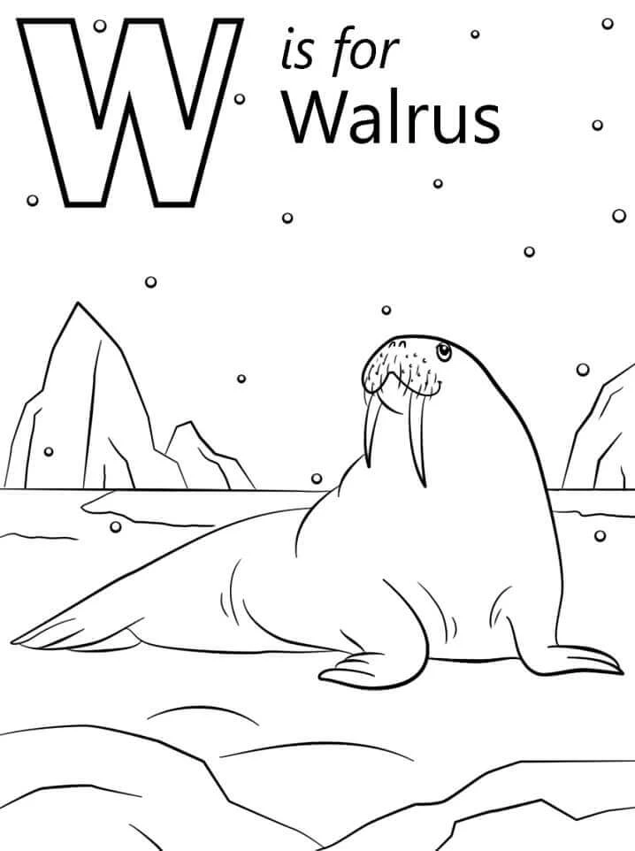 W Harfi boyama sayfası – çocuk aktivitesi, PDF indir