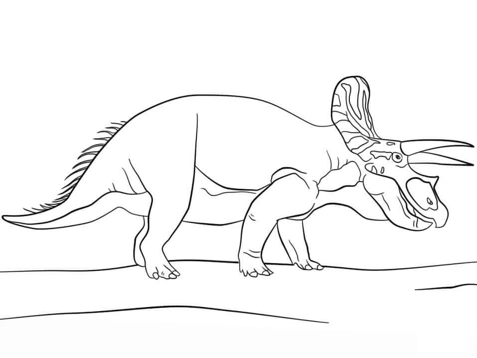 Triceratops boyama sayfası – basit çizim, kolay boyama