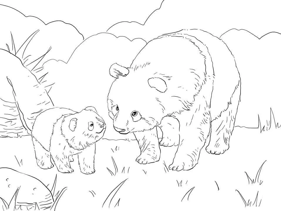 Panda boyama sayfası – çocuk aktivitesi, PDF indir