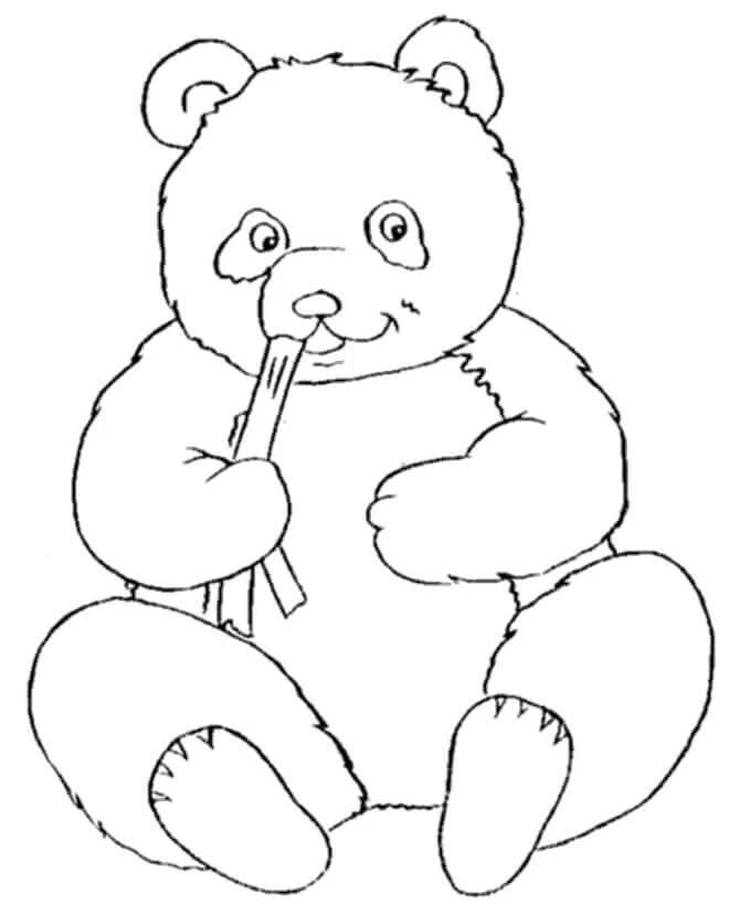 Panda boyama sayfası – sanatsal çalışma, çocuklar için