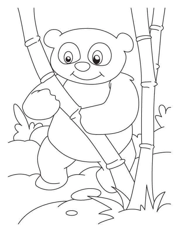 Panda boyama sayfası – renkli çizimler, okul öncesi