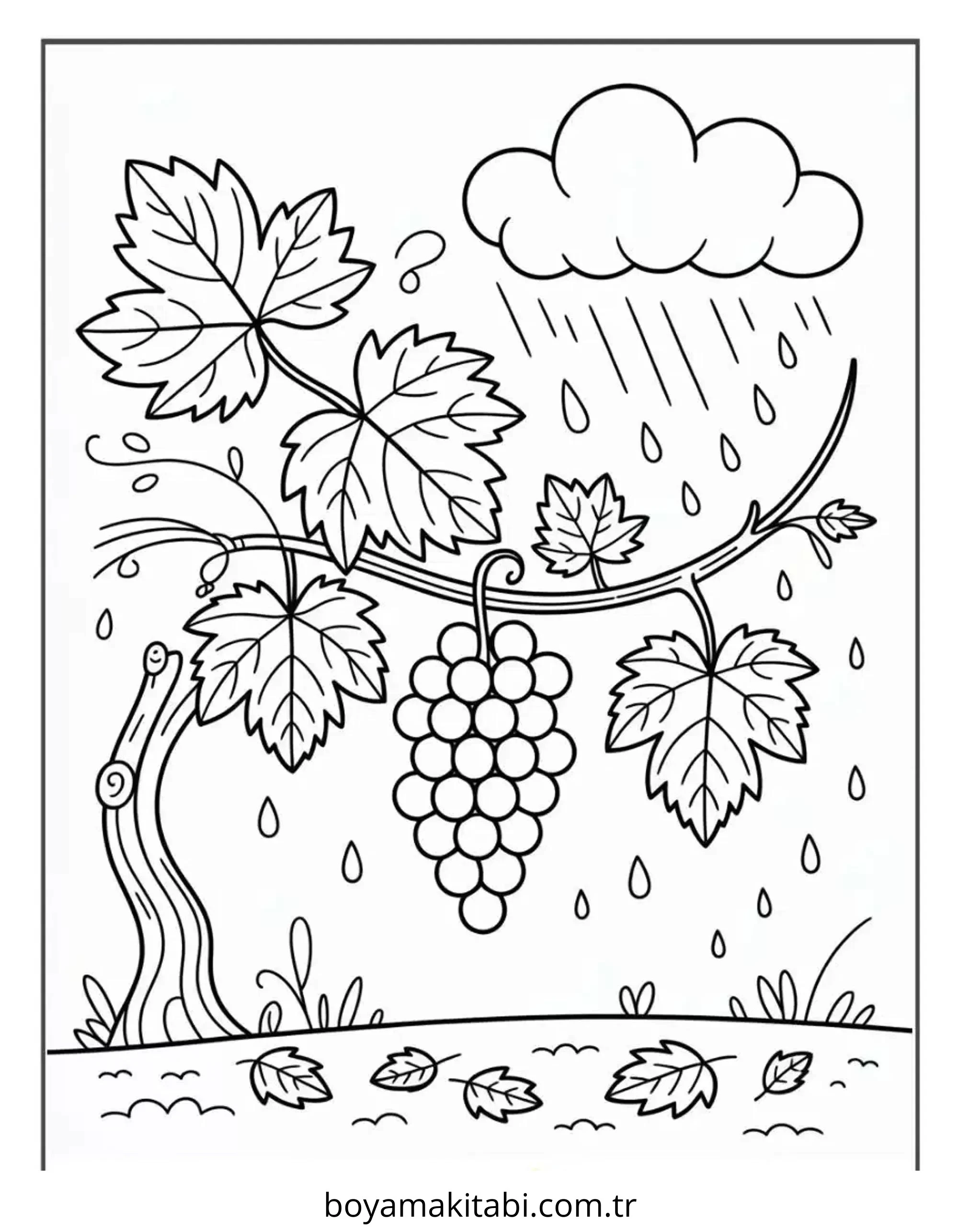 Üzümler Boyama