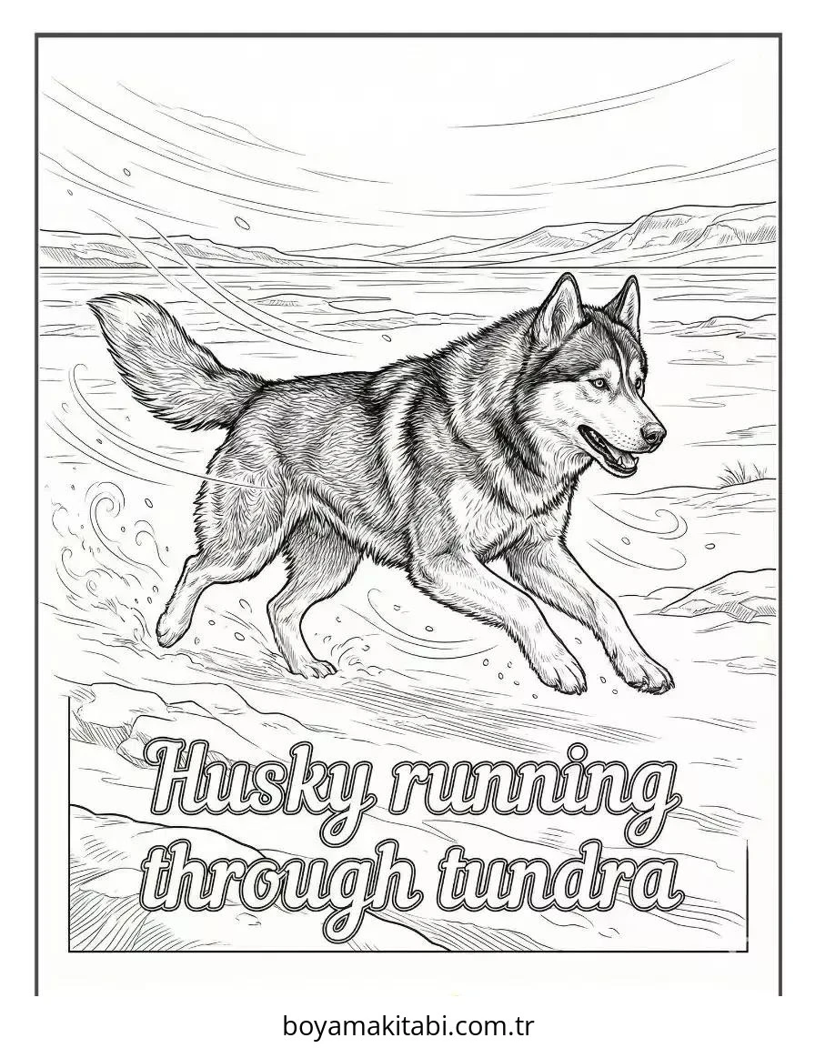 Husky boyama sayfası – keyifli zaman, renkli çizimler