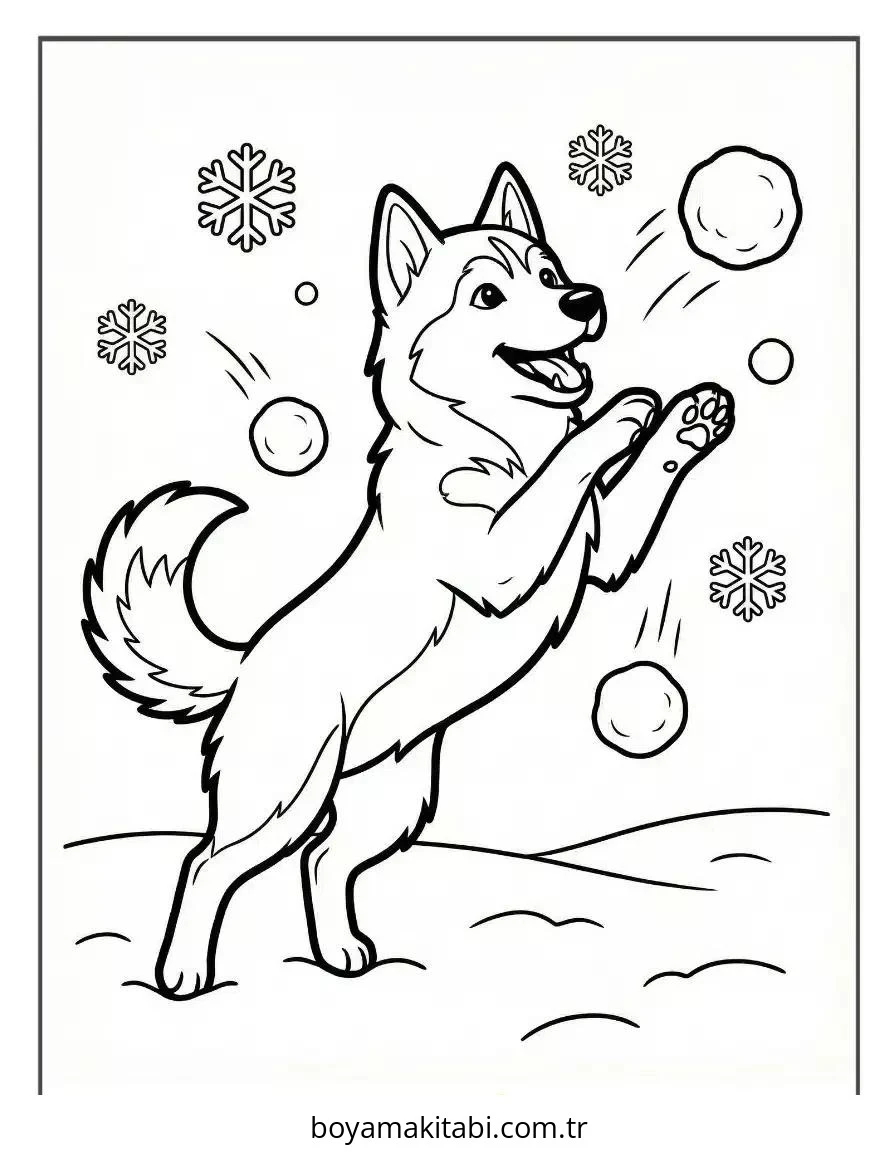 Husky boyama sayfası – boyama çalışması, yaratıcılığı geliştirir