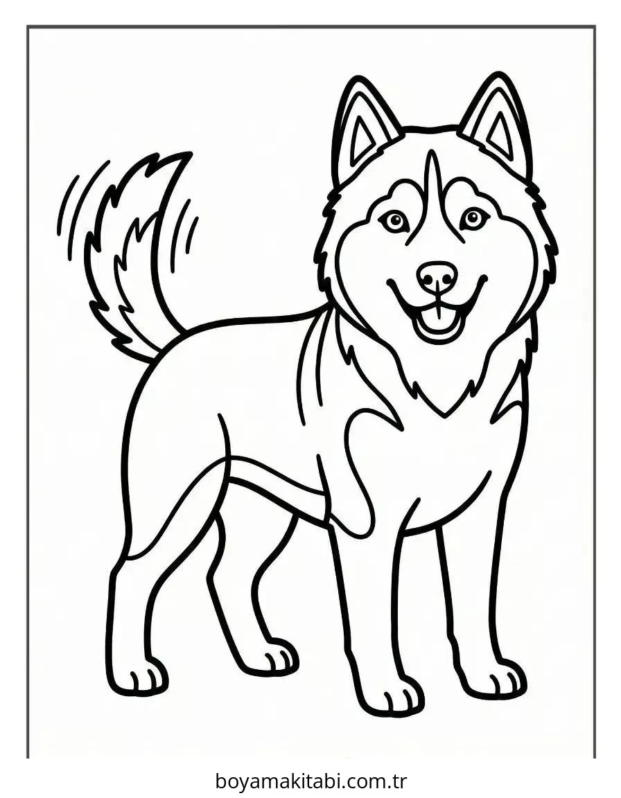 Husky boyama sayfası – yaratıcılığı geliştirir, keyifli zaman