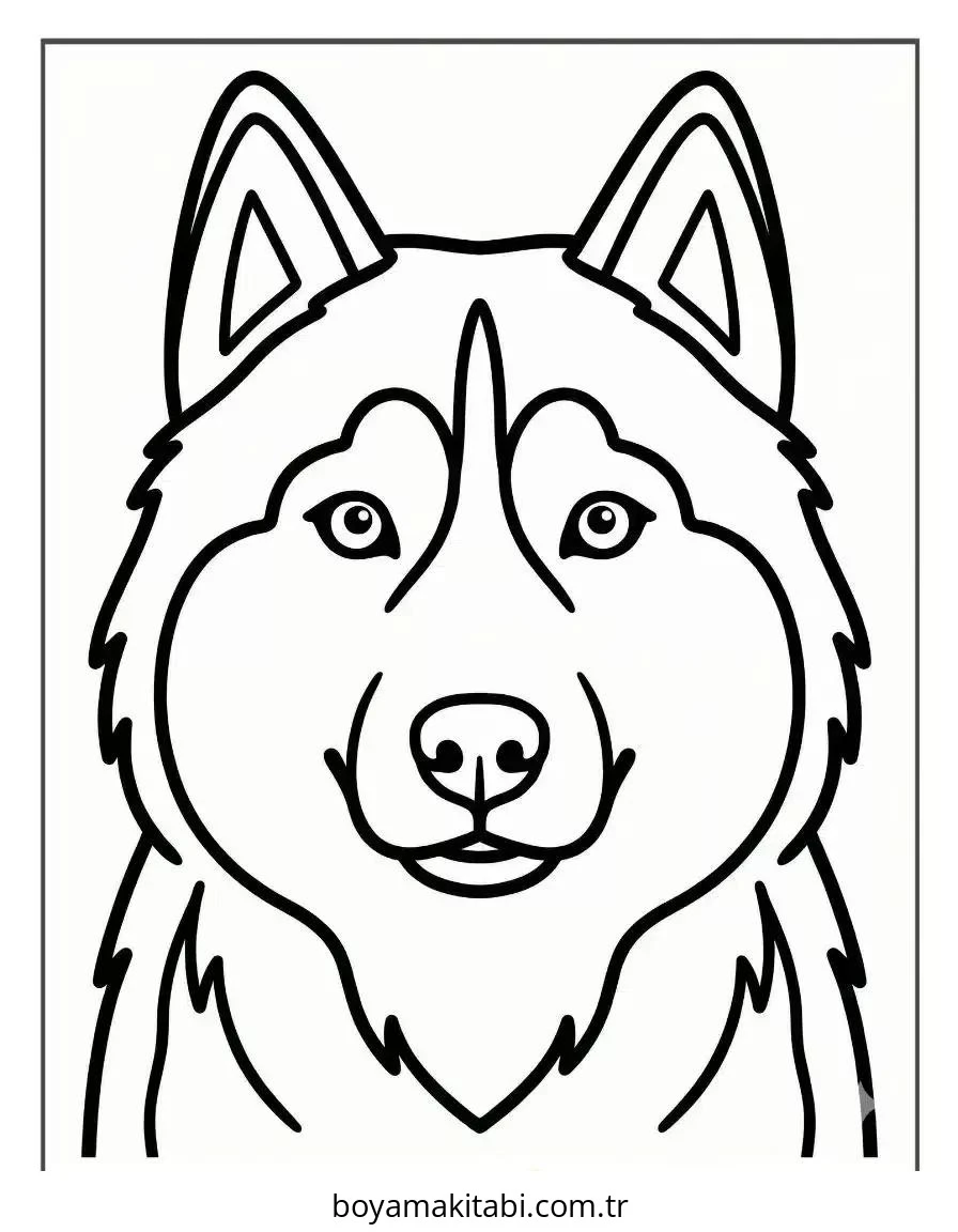 Husky boyama sayfası – çizgi film temalı, basit çizim