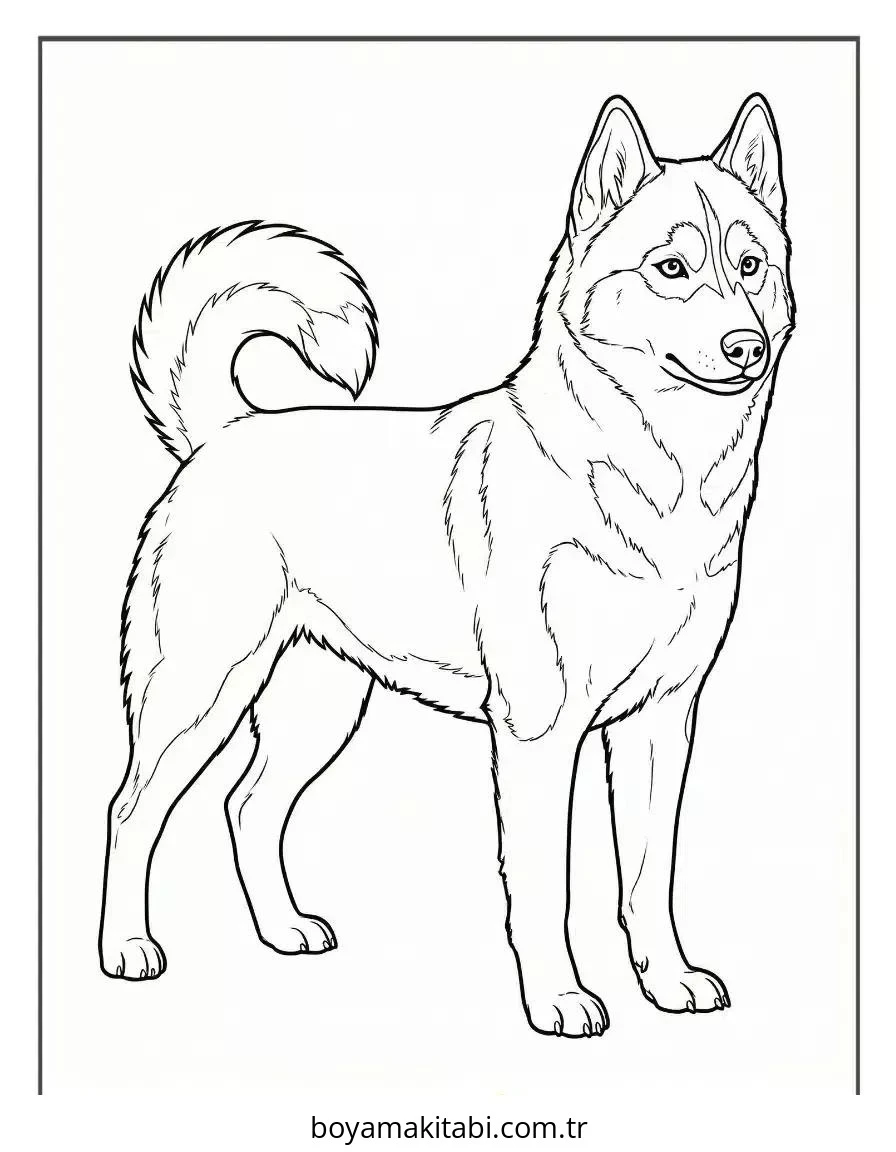 Husky boyama sayfası – el becerilerini geliştirir, boyama çalışması