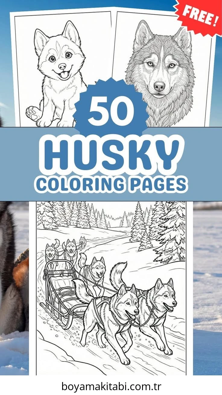 Husky boyama sayfası – yaratıcılık, eğlenceli etkinlik