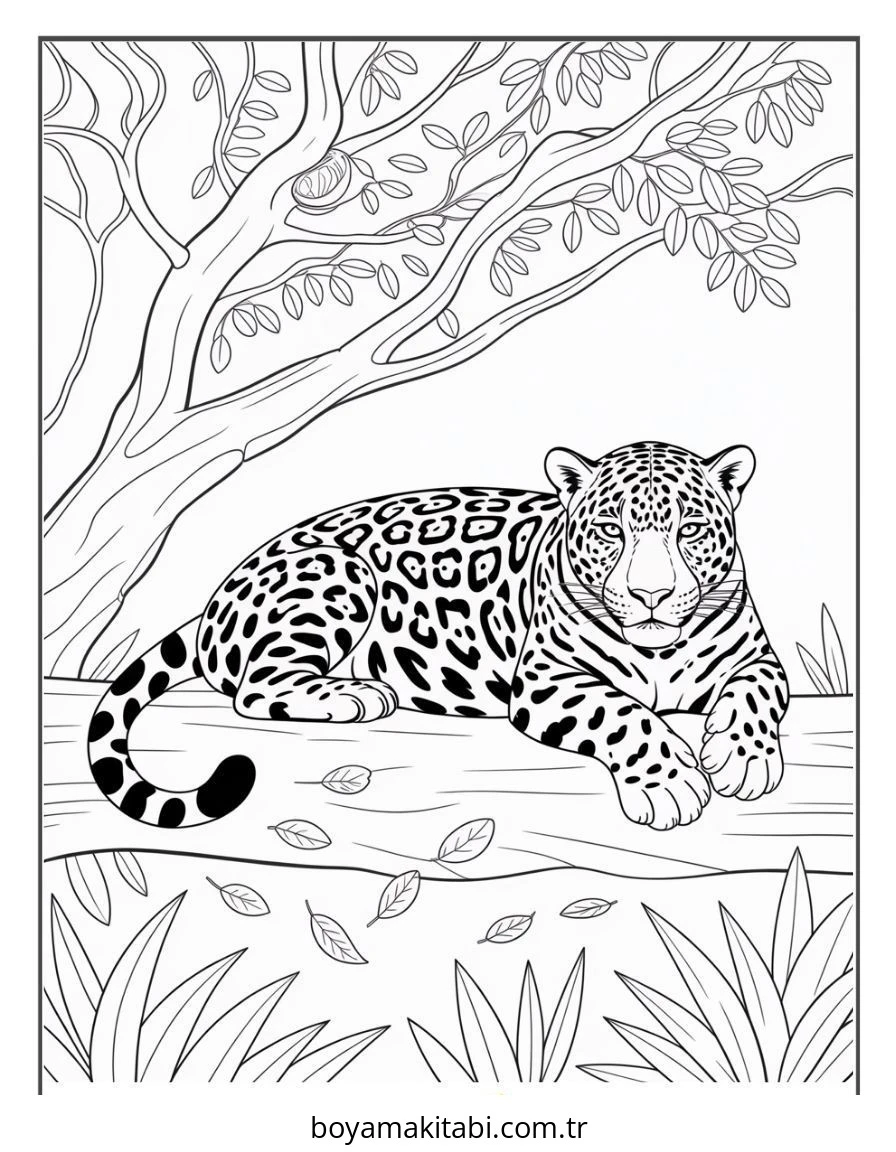 Jaguar boyama sayfası – el becerilerini geliştirir, boyama çalışması