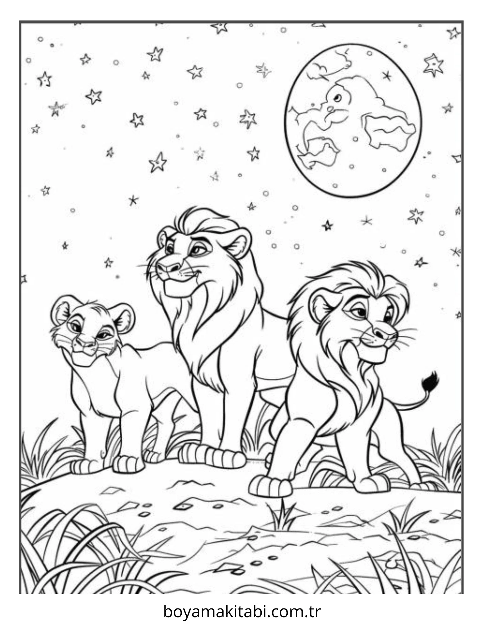 Aslan Boyama
