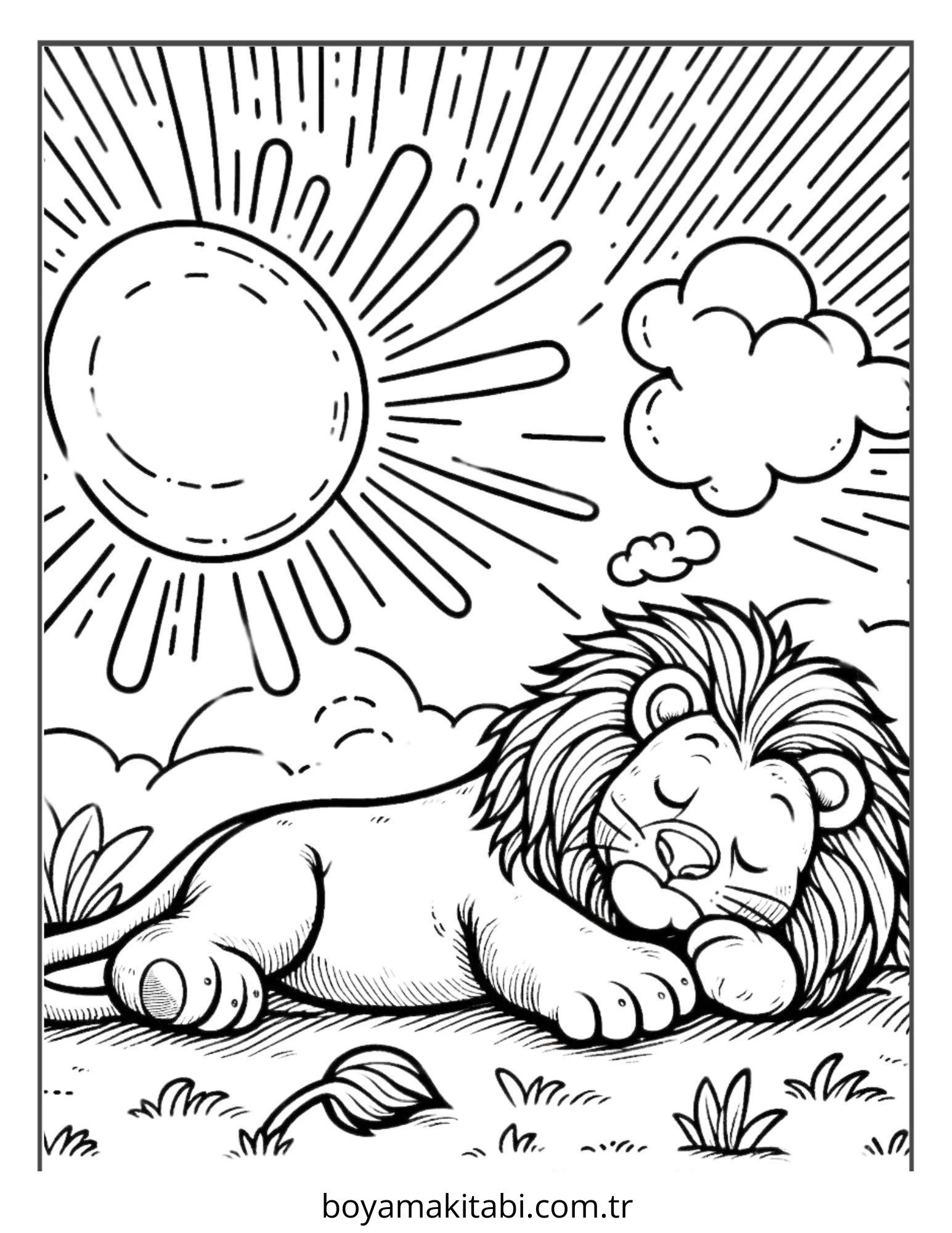 Aslan Boyama