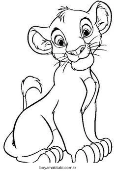 Aslan Boyama