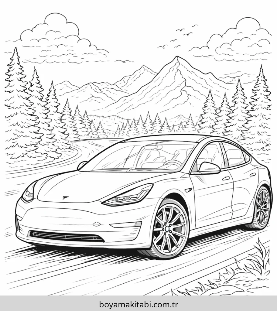 Tesla Boyama
