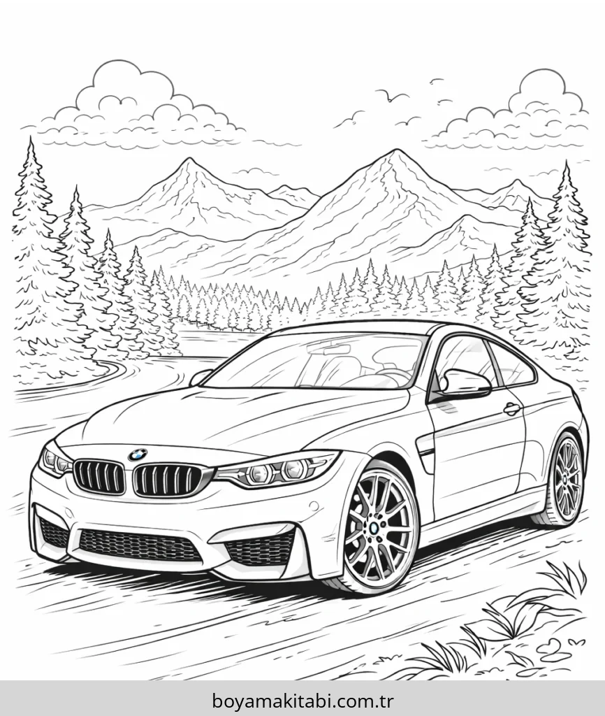 BMW Boyama