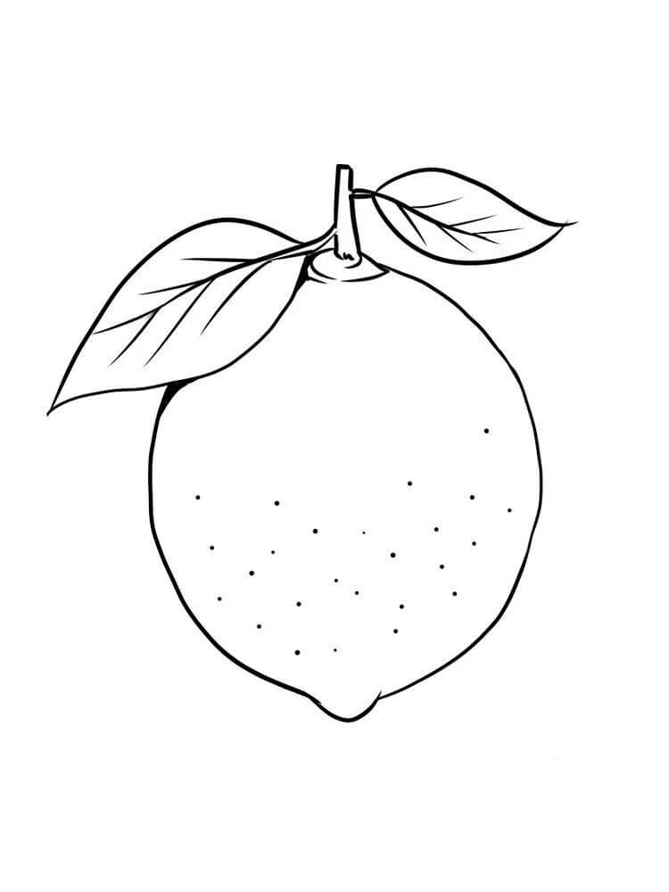 Limon boyama sayfası – eğlenceli etkinlik, el becerilerini geliştirir