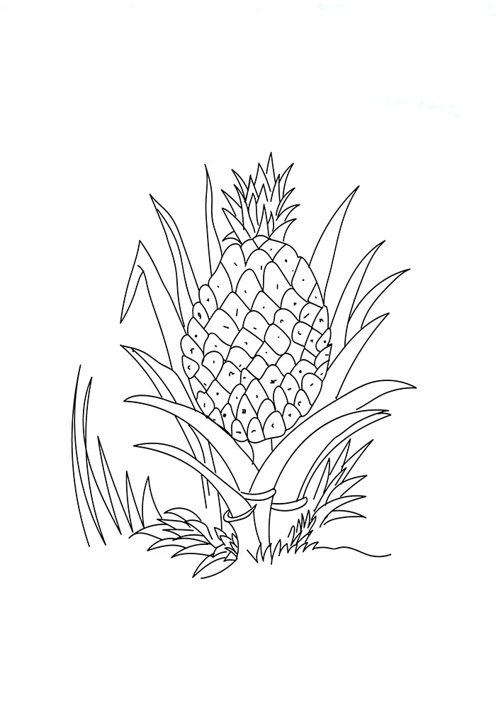 Ananas boyama sayfası – basit çizim, kolay boyama