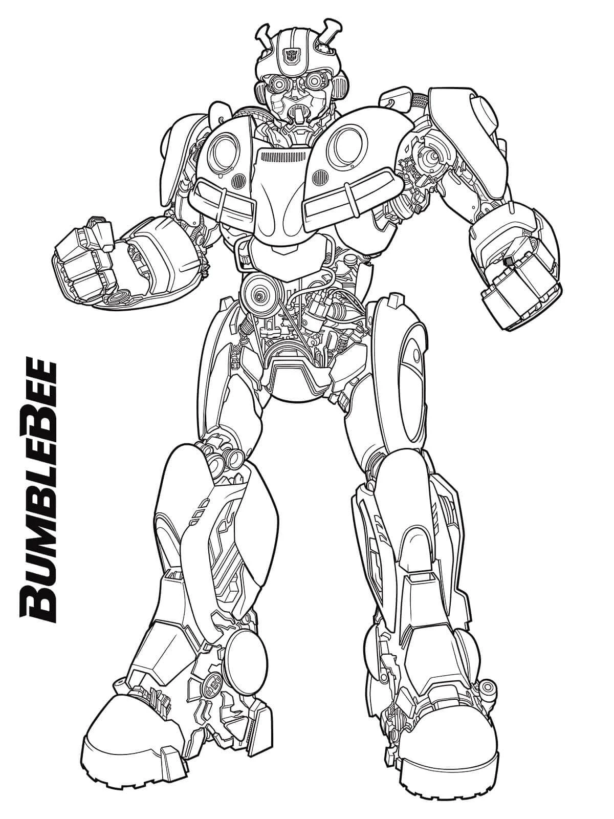 Bumblebee boyama sayfası – renkli çizimler, okul öncesi