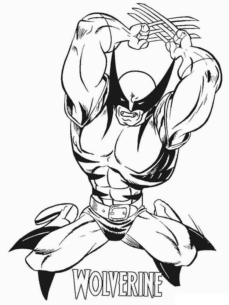 Wolverine boyama sayfası – sevimli karakter, sanatsal çalışma