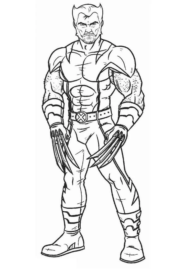 Wolverine boyama sayfası – sanatsal çalışma, çocuklar için