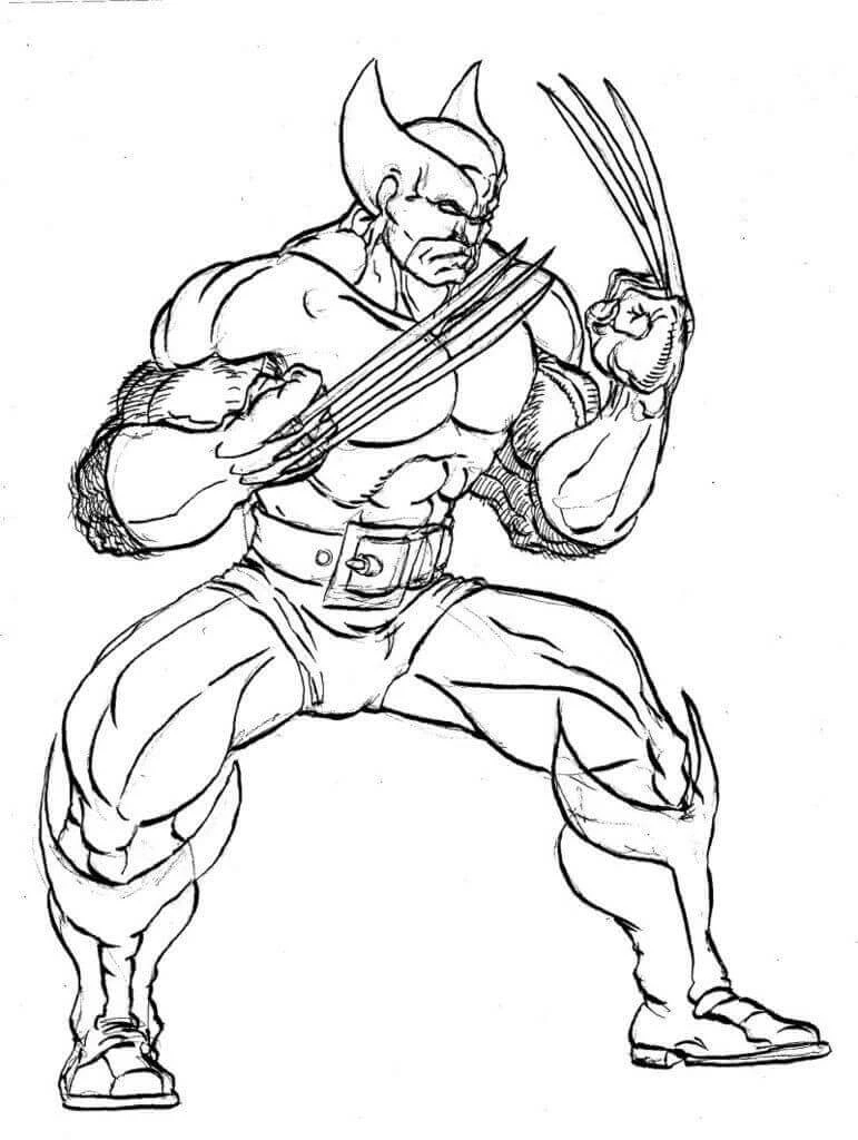 Wolverine boyama sayfası – basit çizim, kolay boyama