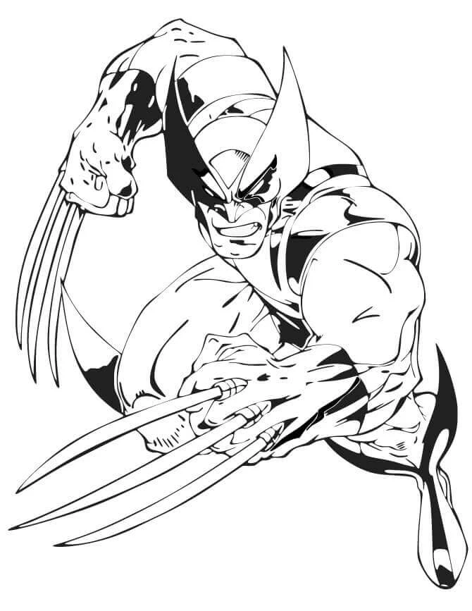 Wolverine boyama sayfası – boyama çalışması, yaratıcılığı geliştirir