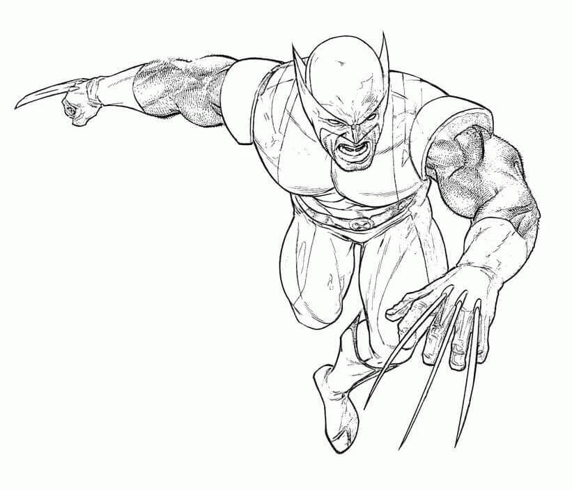 Wolverine boyama sayfası – eğlenceli etkinlik, el becerilerini geliştirir
